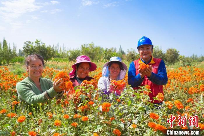 可靠电力服务助力新疆粮食秋收